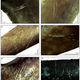 Illustration for article titled Pigeon Bones Reveal The Cognitive Sophistication of Neanderthals